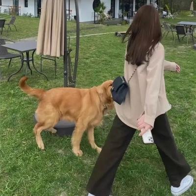 女子感化院